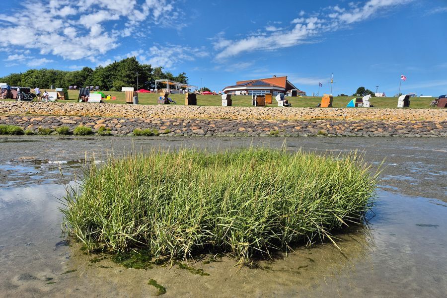 Strand Büsumer Deichhausen